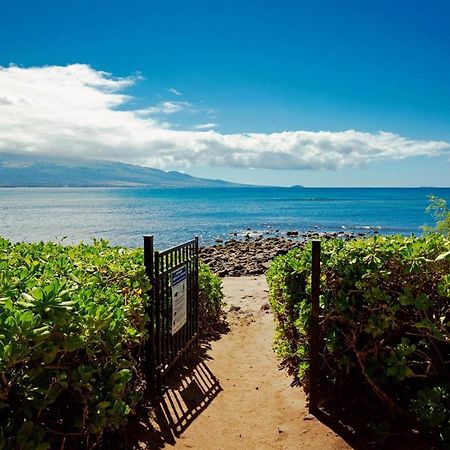Stunning Maui Direct Ocean Front On The Beach, Walk To Beach From Condo, Watch Turtles, Whales, Ac In All Rooms Ocean View Pool And Spa Wailuku Dış mekan fotoğraf