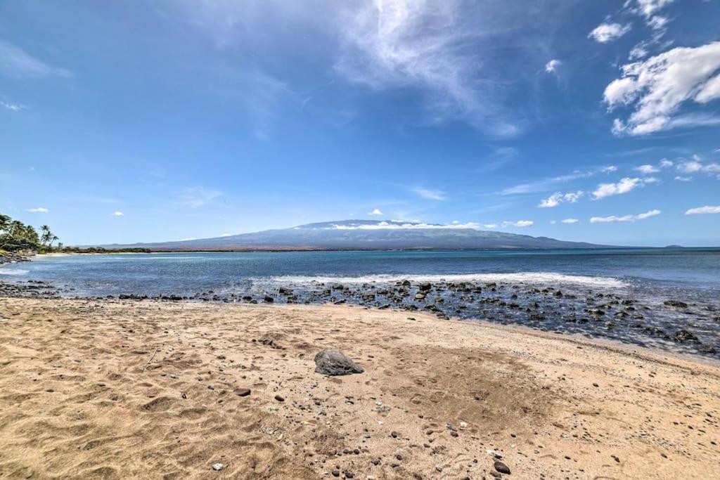 Stunning Maui Direct Ocean Front On The Beach, Walk To Beach From Condo, Watch Turtles, Whales, Ac In All Rooms Ocean View Pool And Spa Wailuku Dış mekan fotoğraf